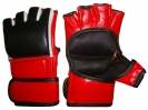 MMA Gloves